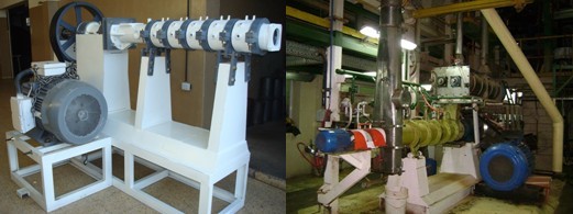 LÍNEA DE EXTRUSIÓN