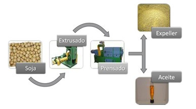 LÍNEAS DE PRODUCCIÓN PARA EXTRACIÓN DE ACEITES
