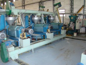 EXTRACIÓN DE ACEITE POR PRENSADO