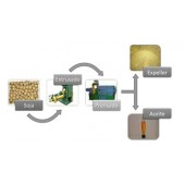 LÍNEAS DE PRODUCCIÓN PARA EXTRACIÓN DE ACEITES